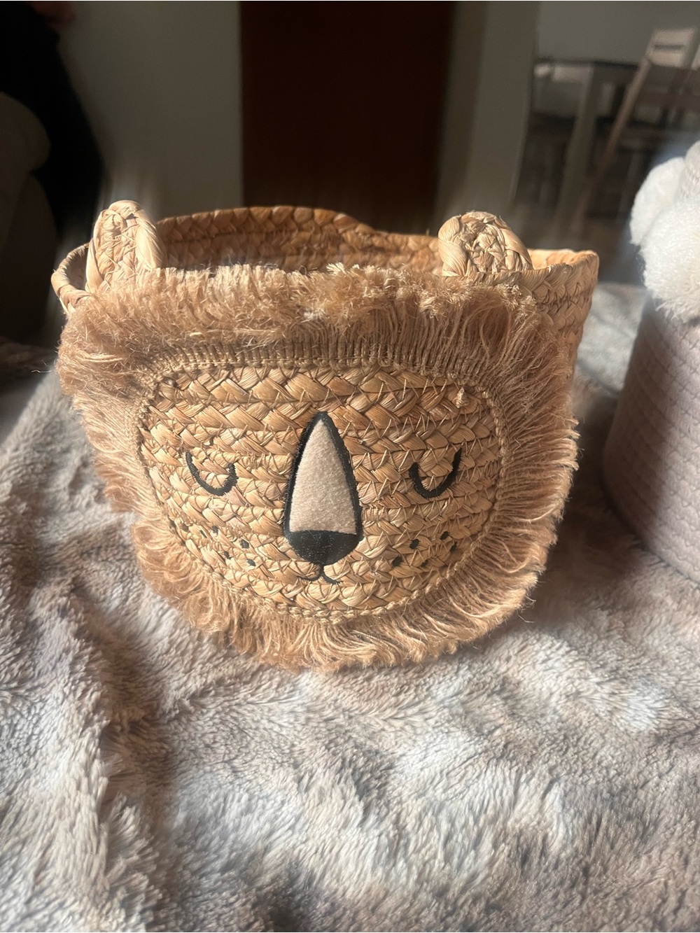 Kids Straw Lion Storage Basket - Tan